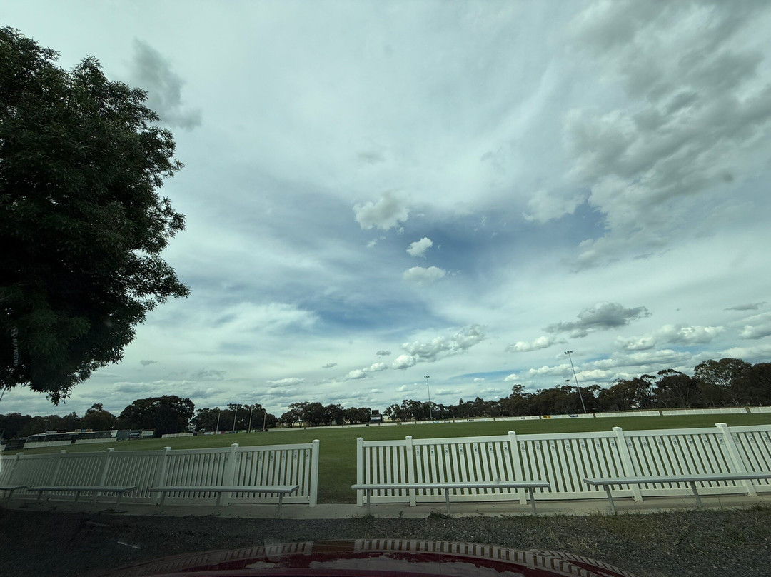 Coughlin Park-霍舌姆必去景点