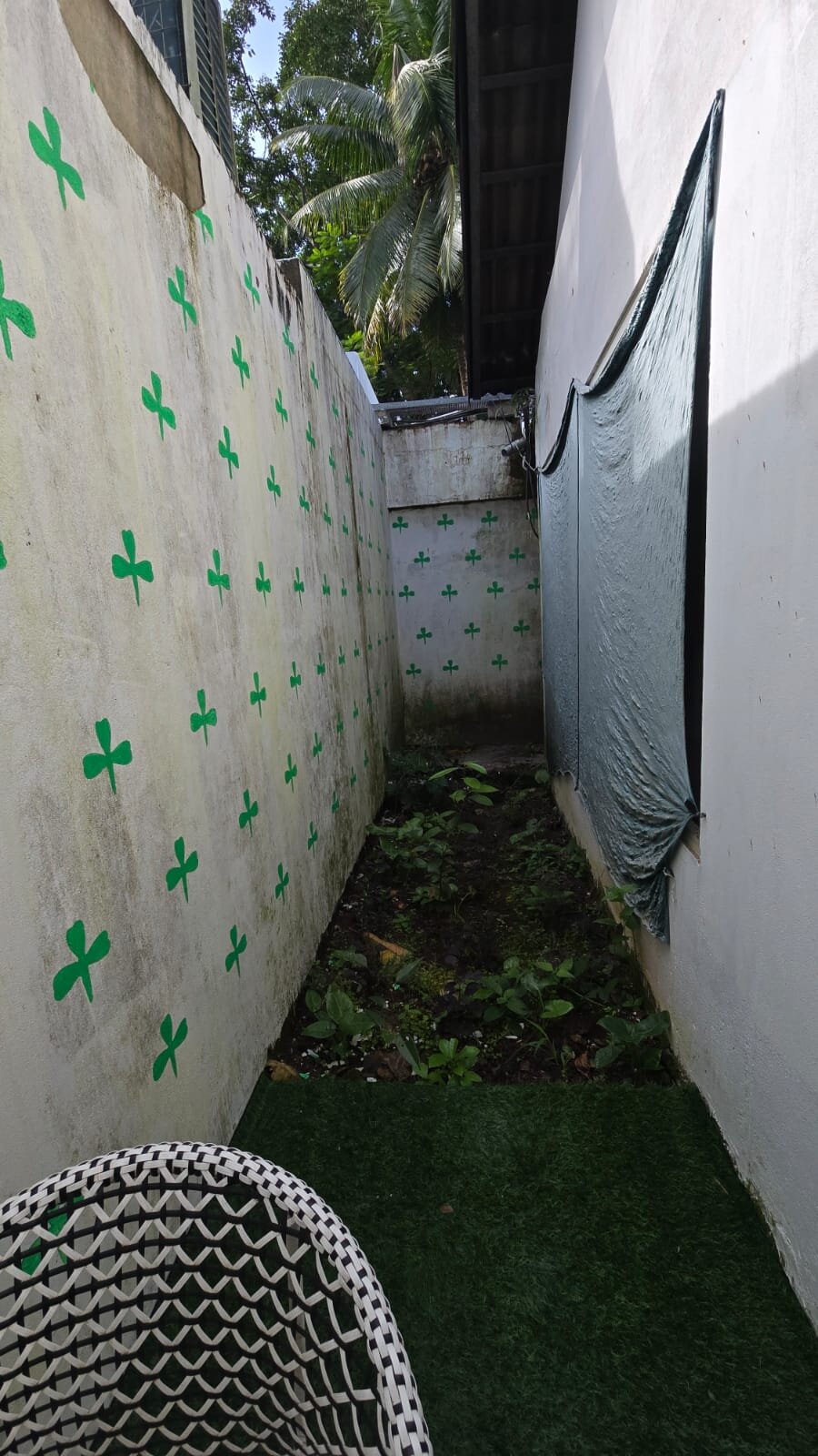 克拉克斯异域岛屿之家, 布莱尔港-客卧