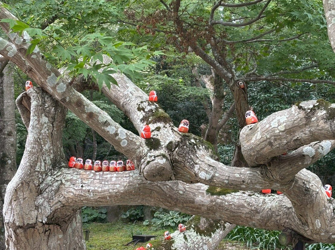 Katsuo-ji Temple-美浓市必去景点