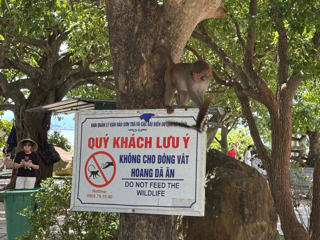 Vietnam Eco-Tours-岘港必去景点