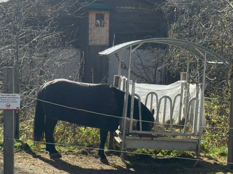 Kinderhotel Kröller主图