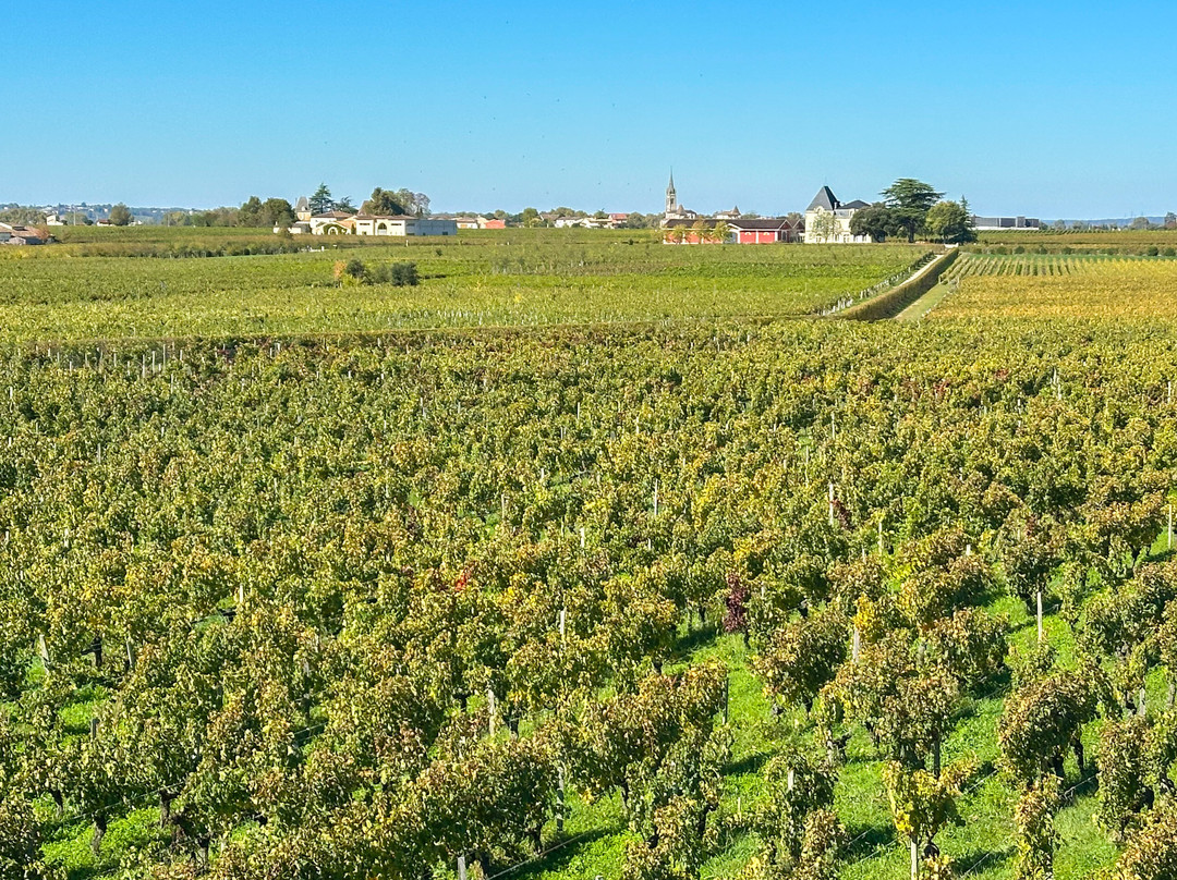 Château La Dominique-圣埃美隆必去景点