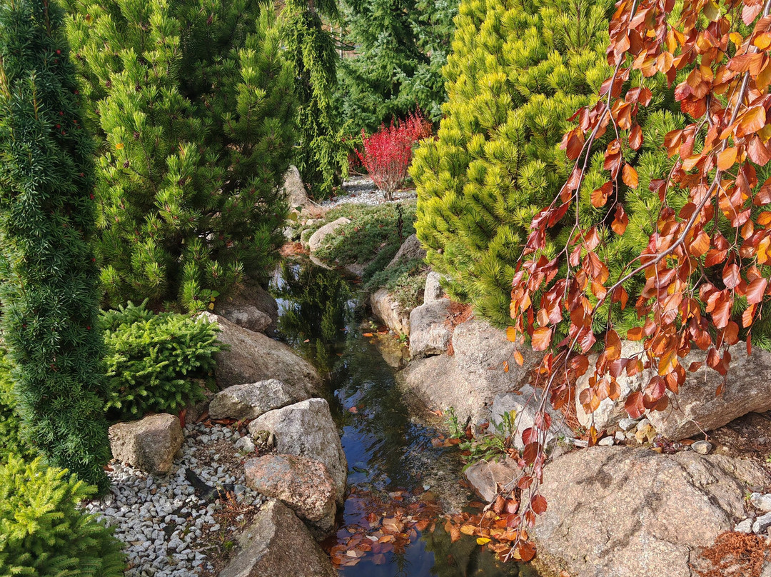 Norweska Dolina主图