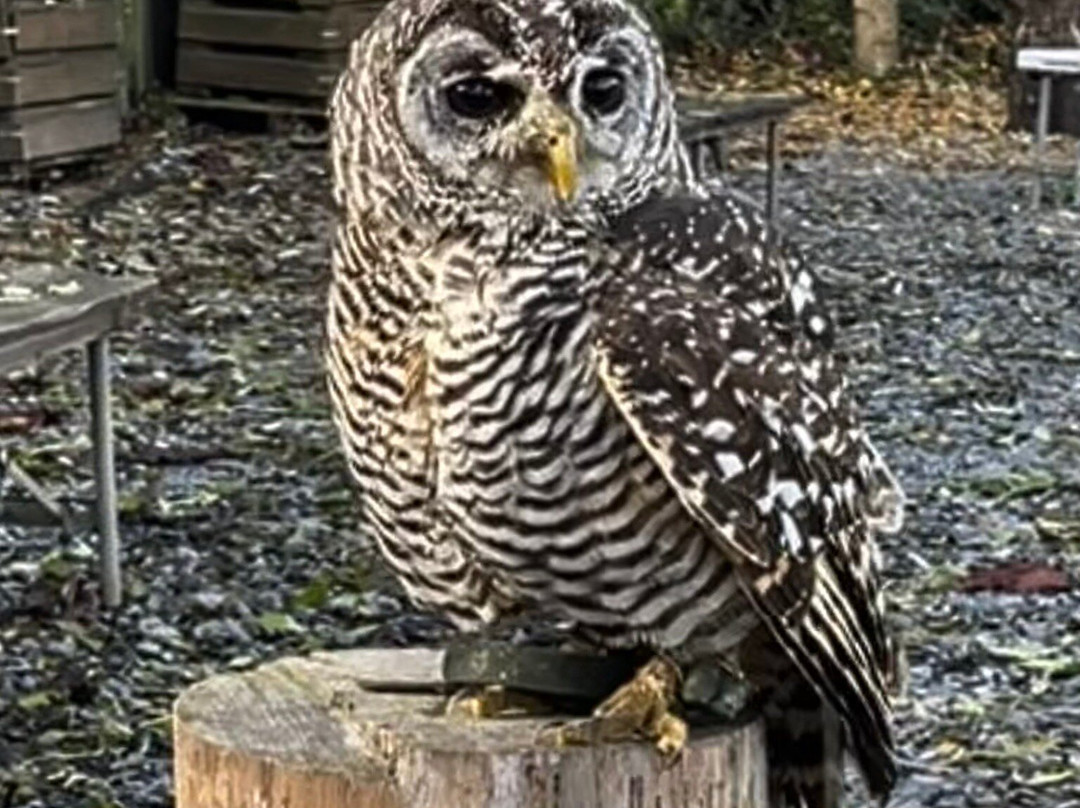 Le Jardin des Hiboux-Bievre必去景点