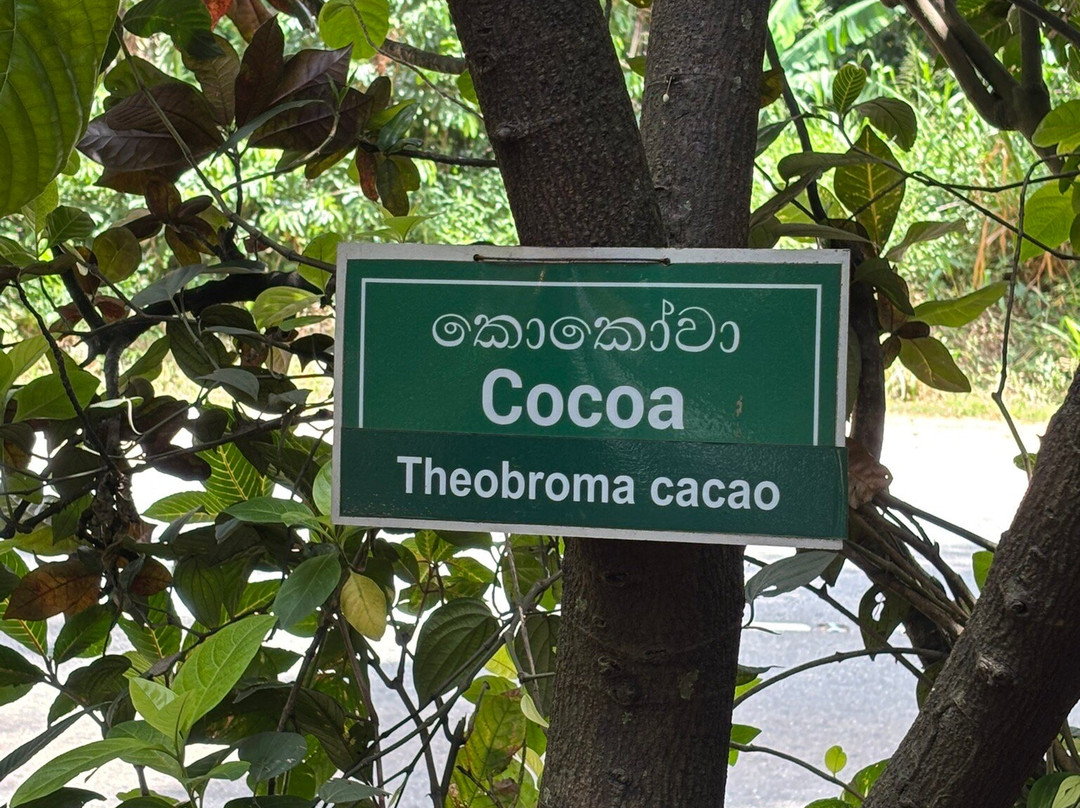 Ranweli Spice Garden-Matale必去景点