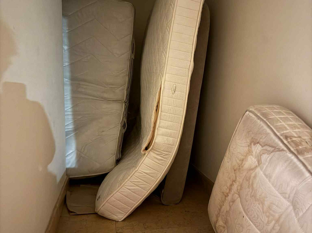 罗曼诺宫豪华酒店主图