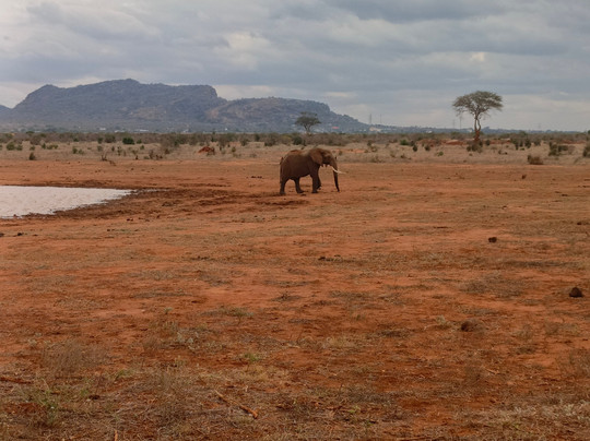 Thanni Tours-蒙巴萨必去景点