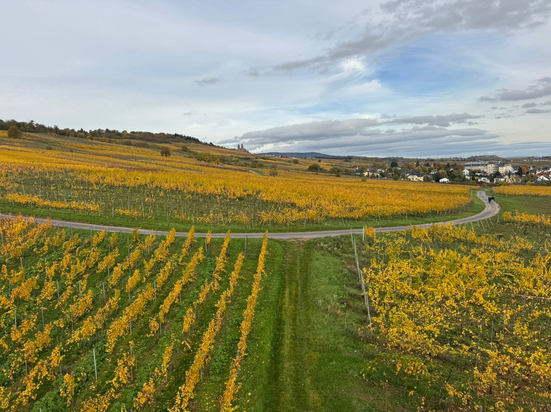 Seilbahn Rudesheim-吕德斯海姆必去景点