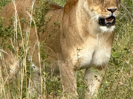 Active African Vacations-坎帕拉必去景点