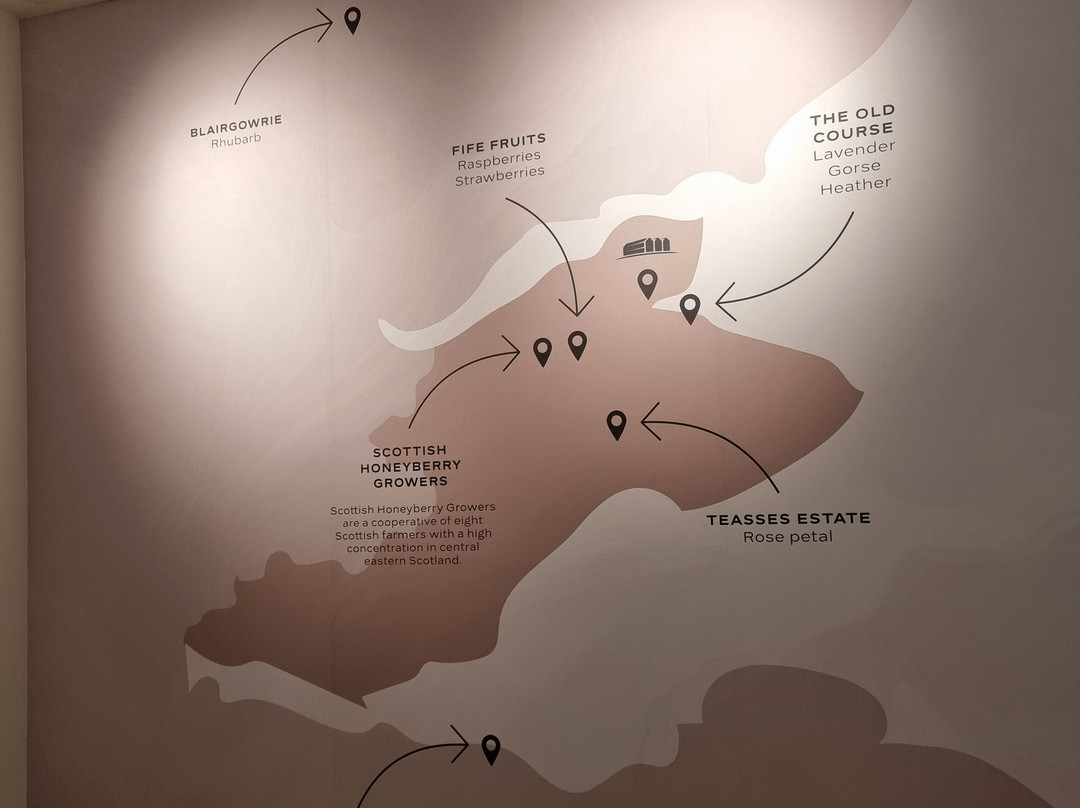 伊甸酿酒厂-圣安德鲁斯必去景点