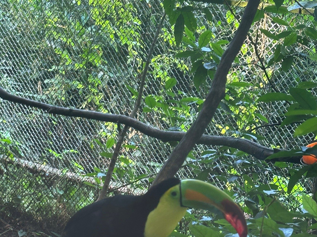 Aluxes Ecoparque-帕伦克必去景点