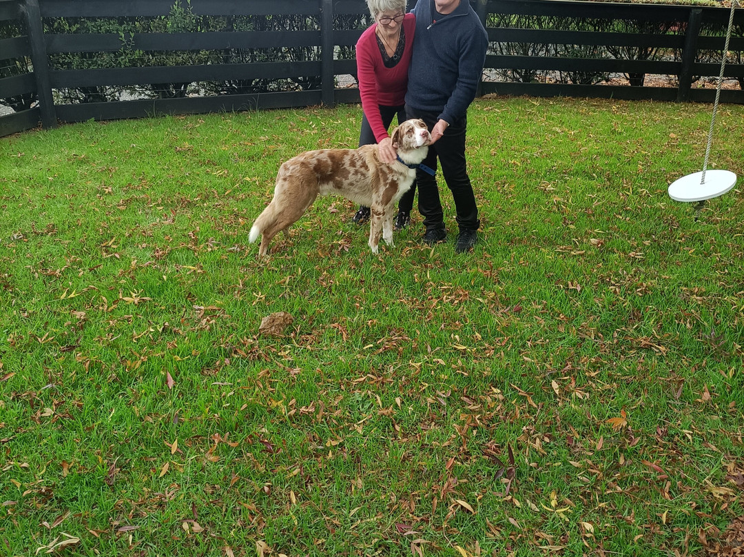 Connemara Country Lodge主图