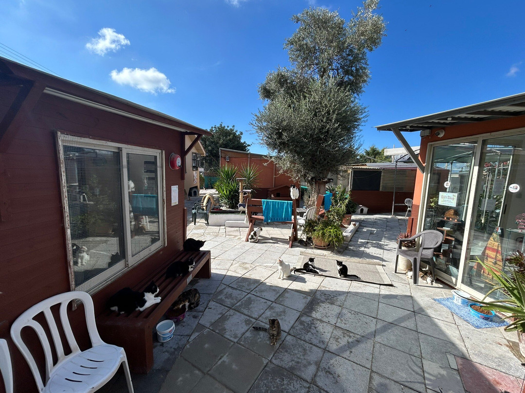 Tala Monastery Cat Park-Tala必去景点