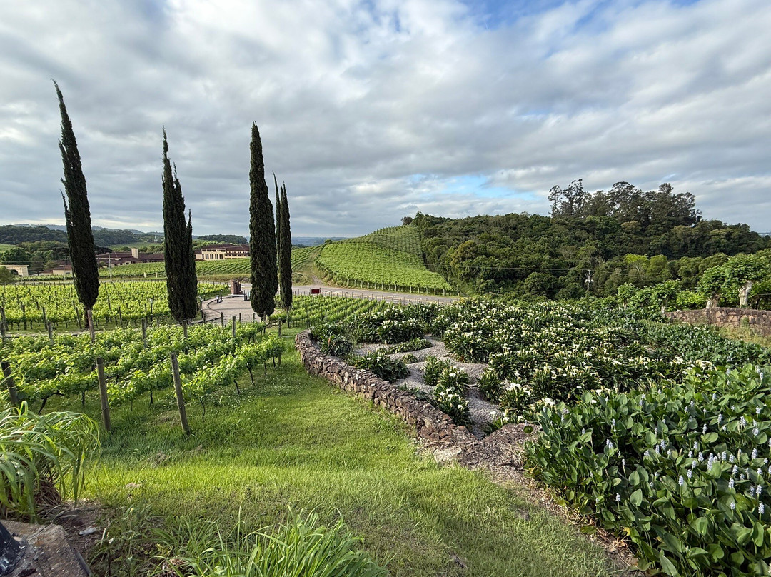 Hotel & Spa do Vinho, Autograph Collection