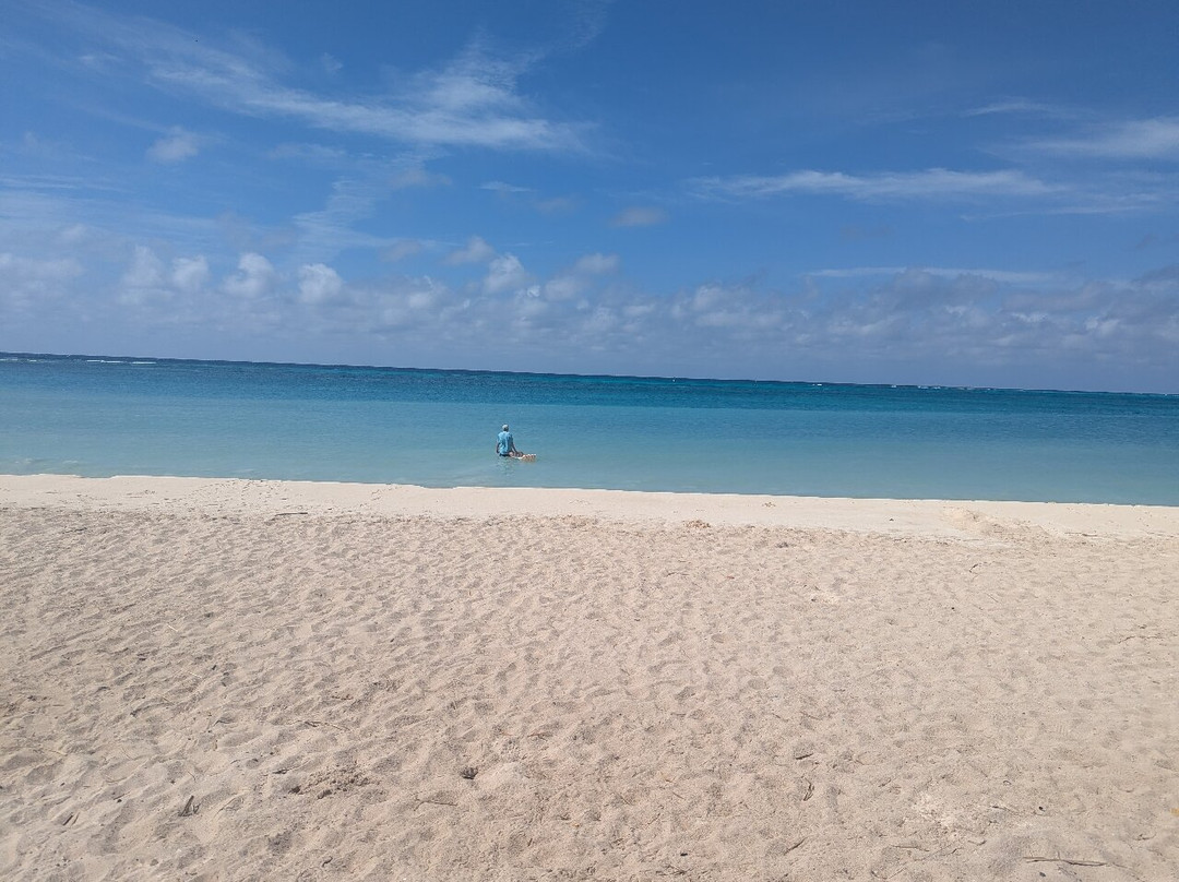 Rodgers Beach-San Nicolas必去景点