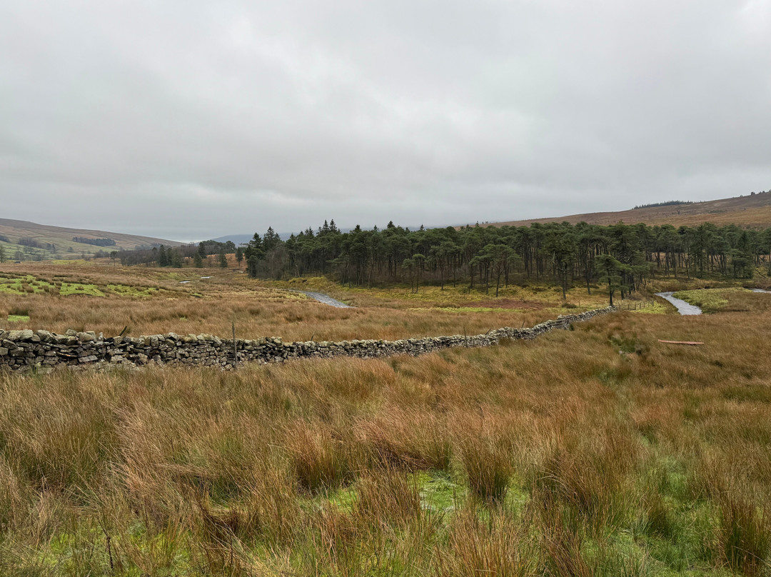 Nethergill Farm主图