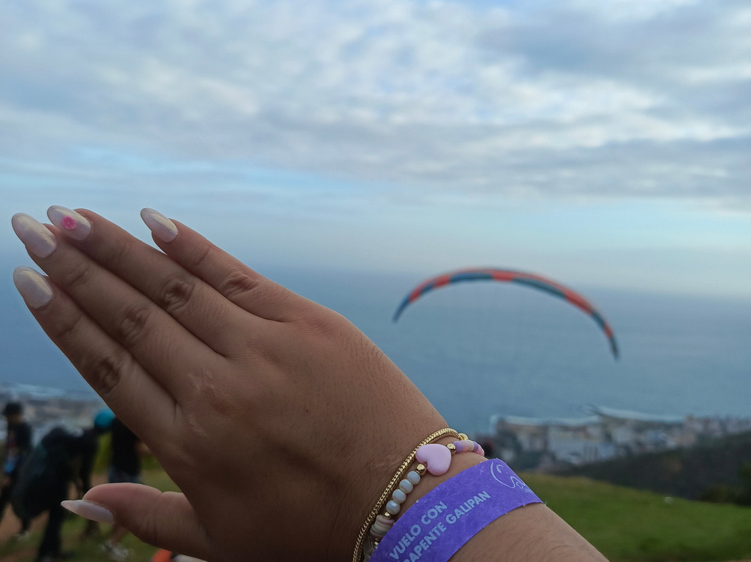 Vive Parapente-加拉加斯必去景点