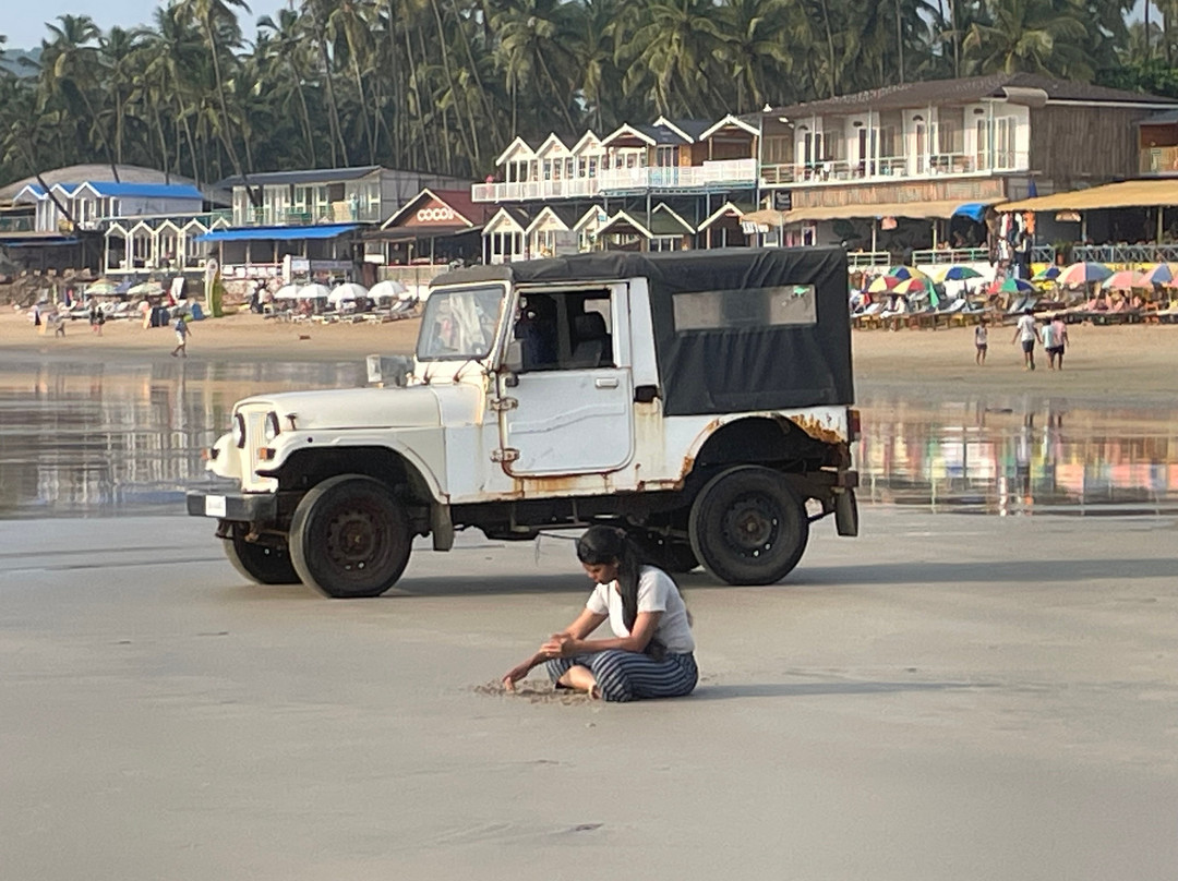 Art Resort Goa主图