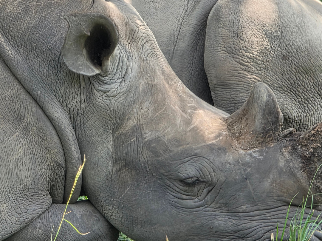 PearlAfric Tours & Travel-坎帕拉必去景点