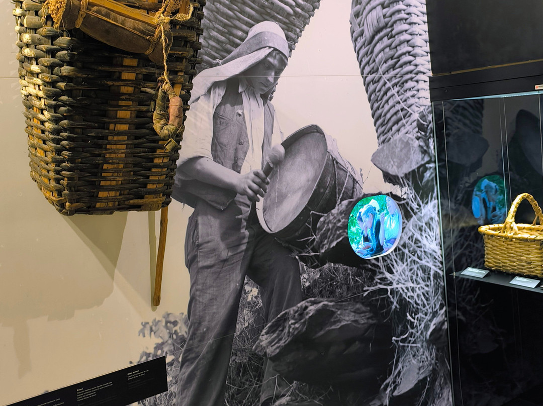 Museu do Douro-佩苏达雷瓜必去景点