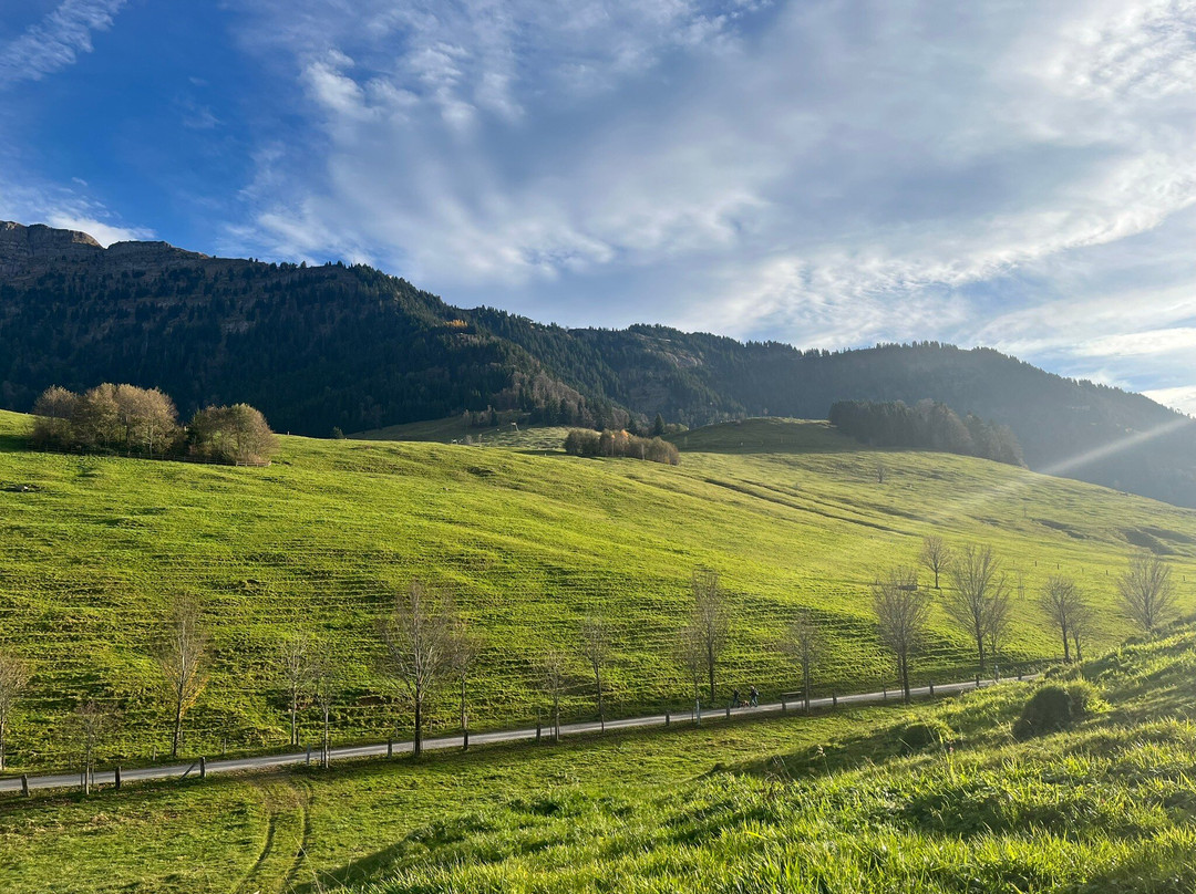 Luftseilbahn Seebodenalp-屈斯纳赫特瑞吉必去景点