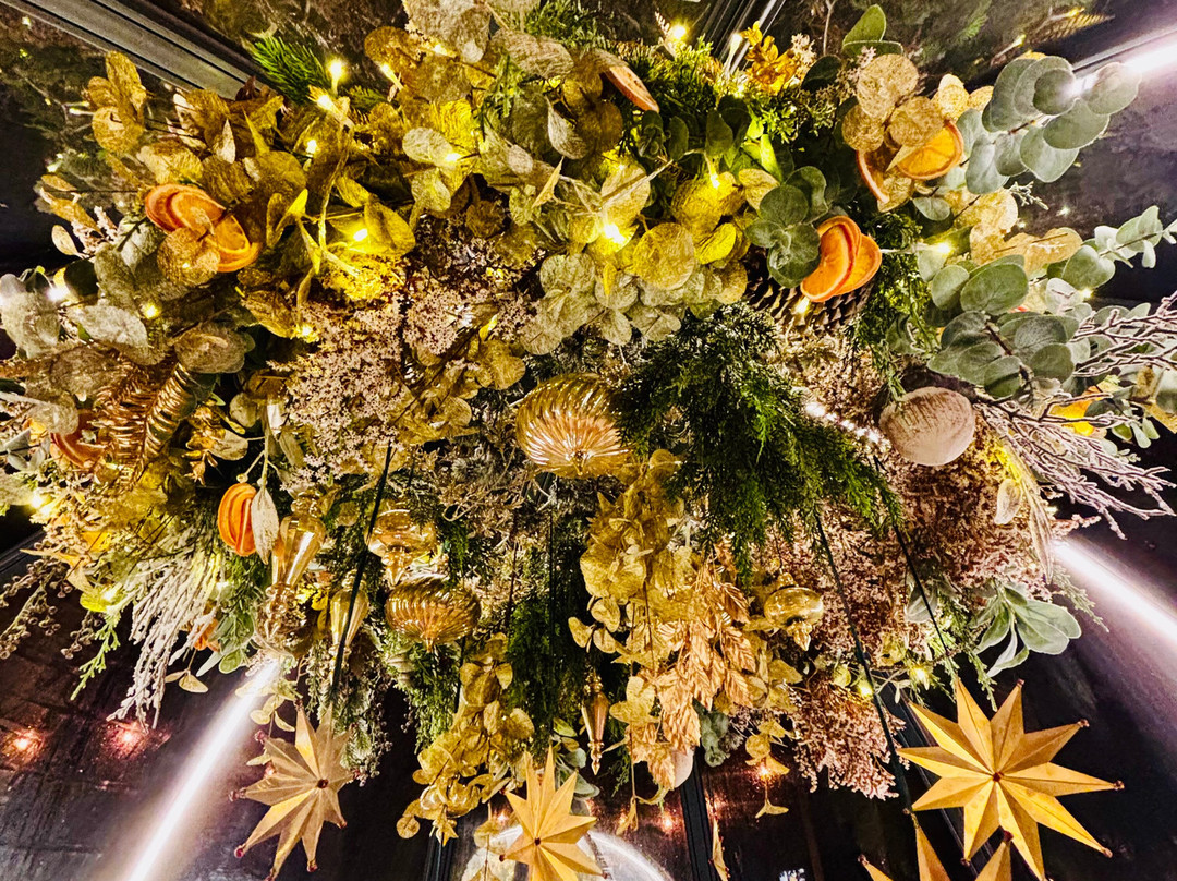 The Georgian, Coppa Club主图