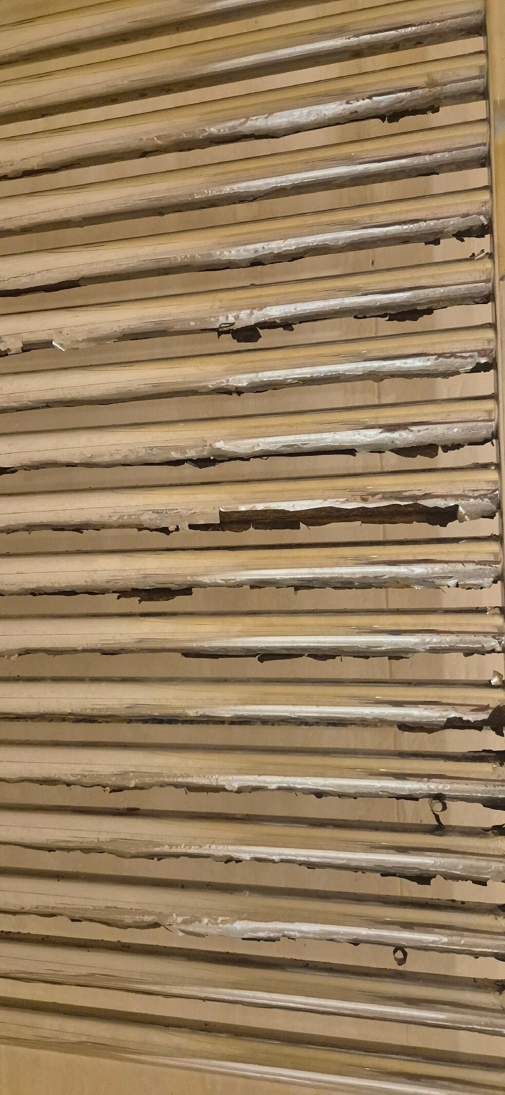 NH帕拉佐大酒店-官方