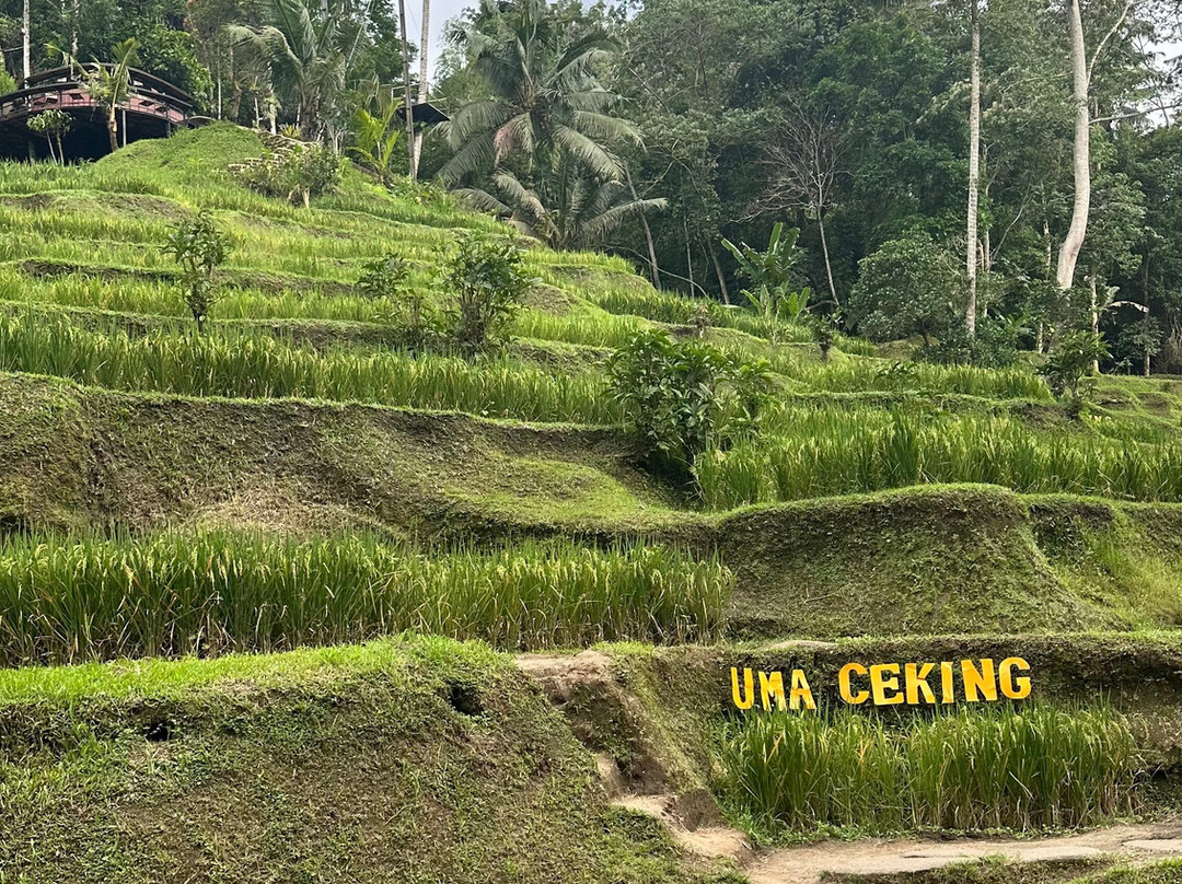 Bali Hire Driver-努沙杜瓦必去景点