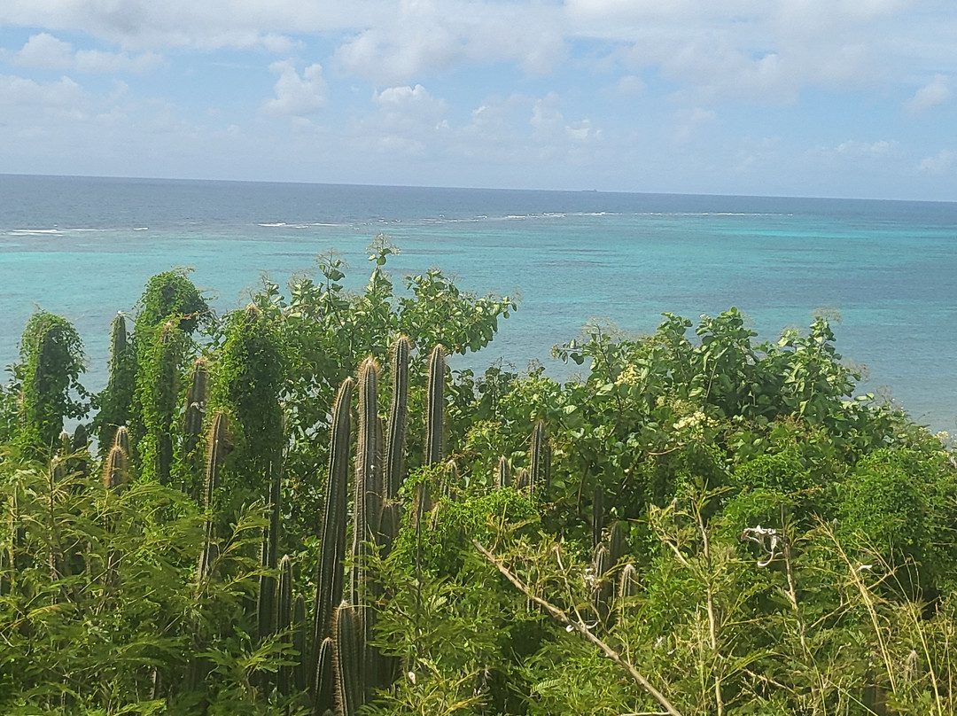 North Shore-圣克鲁斯必去景点