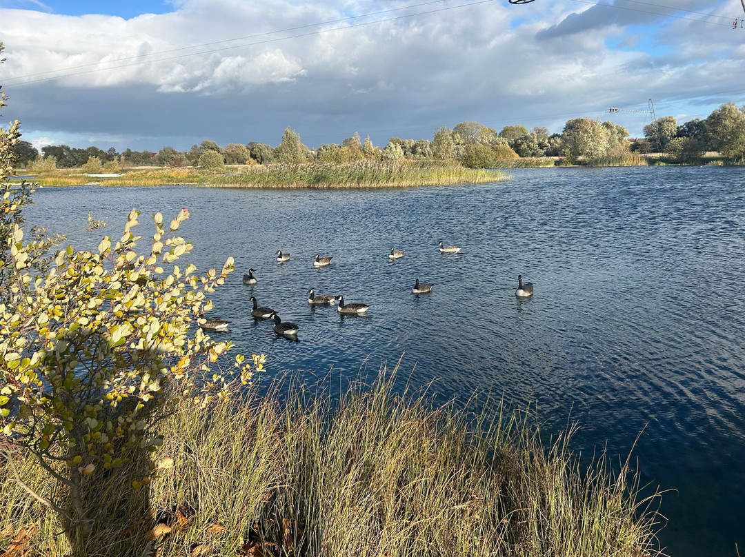 Box End Park-贝德福德必去景点