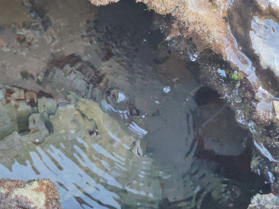 Praia do Pirui-Arembepe必去景点