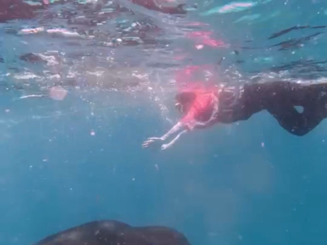 Bubbles Excursion Guraidhoo