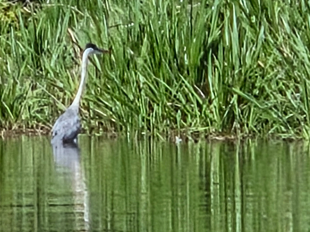 Machupicchu Challenge Peru-库斯科必去景点