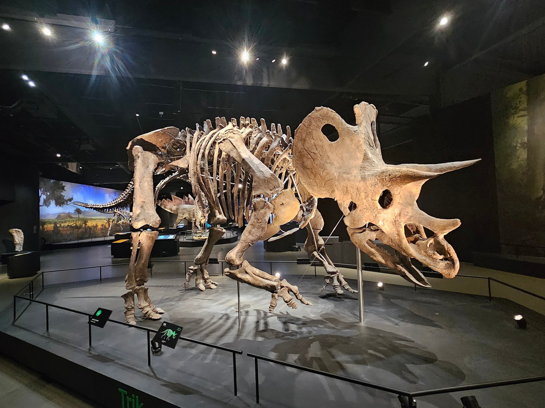 Dinosauria Museum Prague-Tuchomerice必去景点