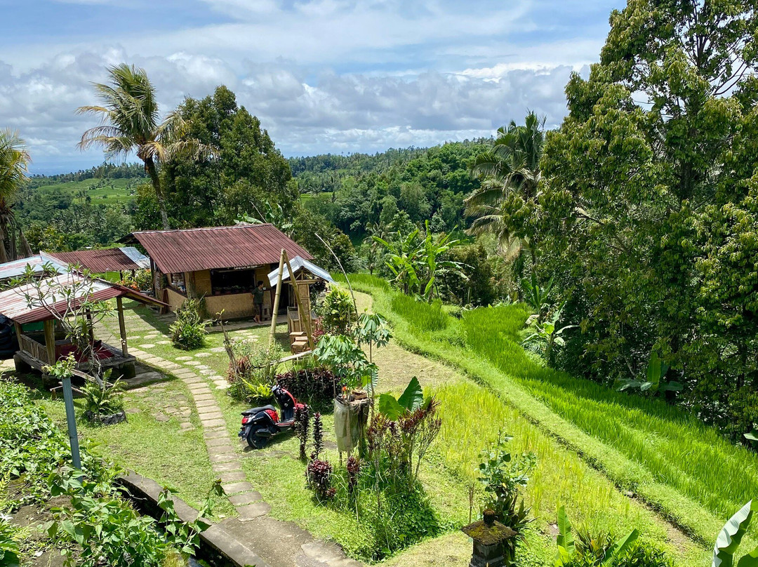 Bali Rêve-达巴南必去景点