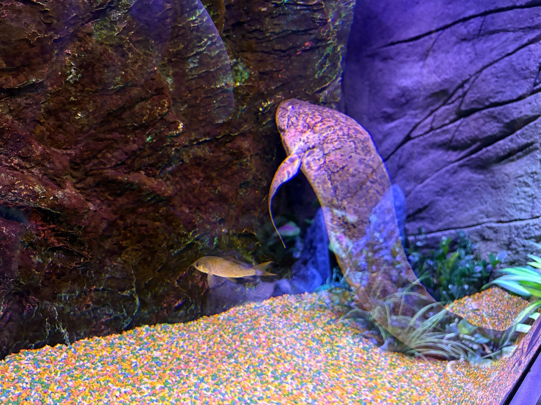 The Shore Oceanarium-马六甲必去景点