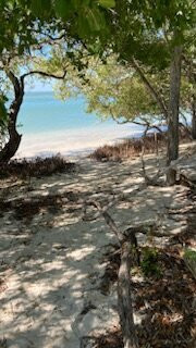 Isla Holbox-Holbox Island必去景点