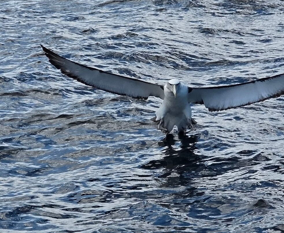 Wild Ocean Tasmania-伊格尔霍克内克必去景点