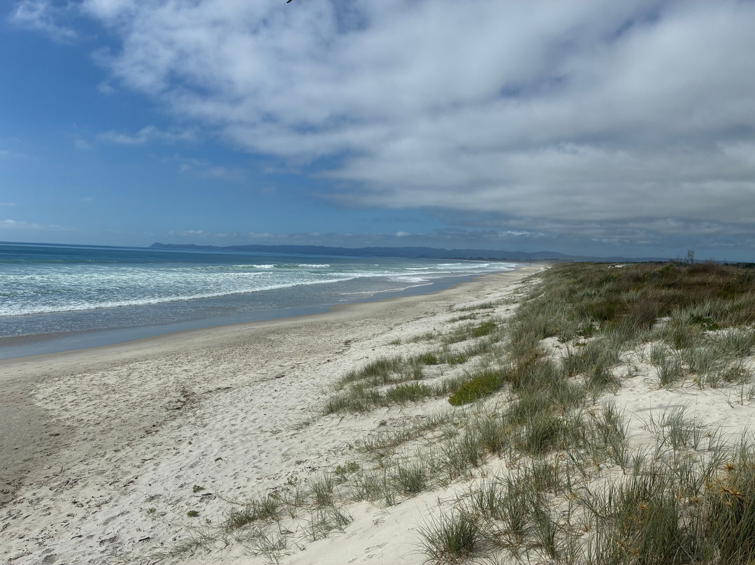 Ruakaka Beach-璜加雷必去景点