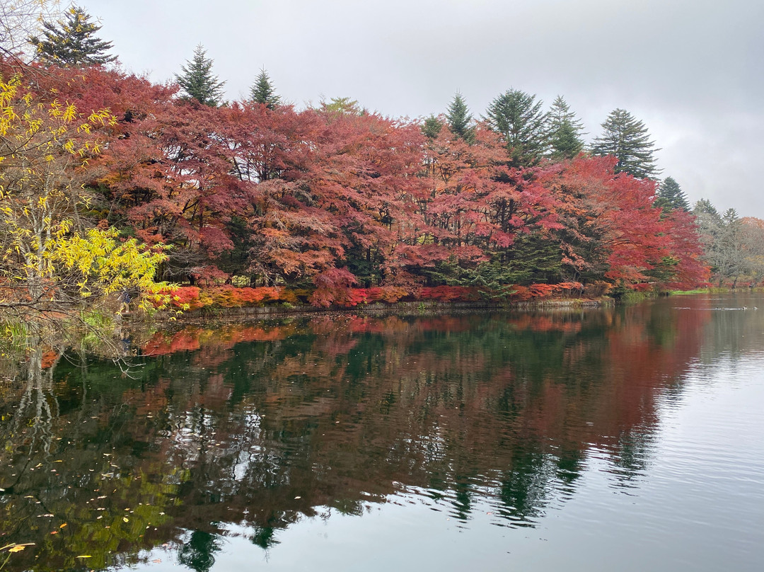 云场池-轻井泽町必去景点