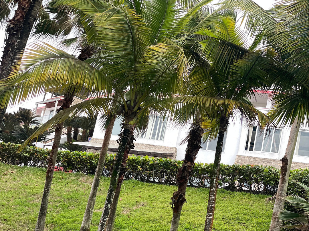 Royal Decameron Mompiche主图