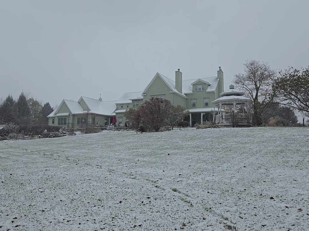 White Garden Inn主图