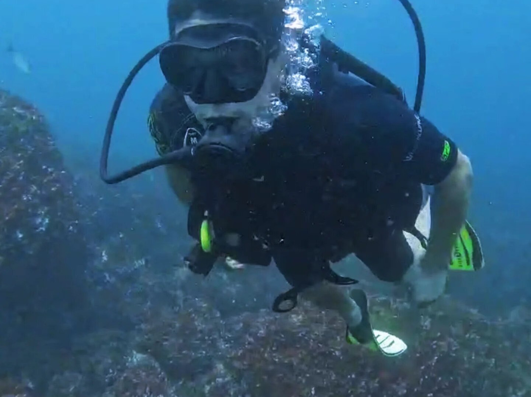 Paradise Dive Mirissa-美蕊沙必去景点