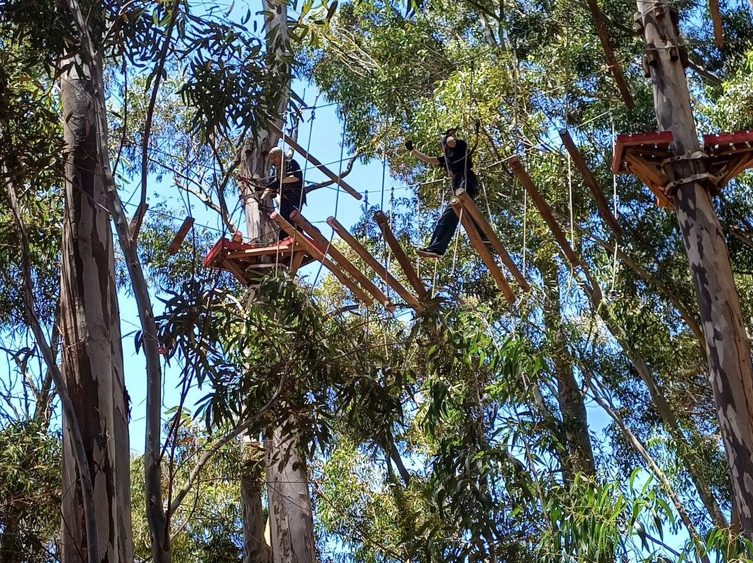 Acrobranch Stellenbosch-斯泰伦博斯必去景点