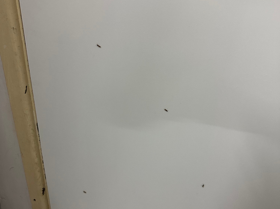 珊瑚别墅汽车旅馆主图