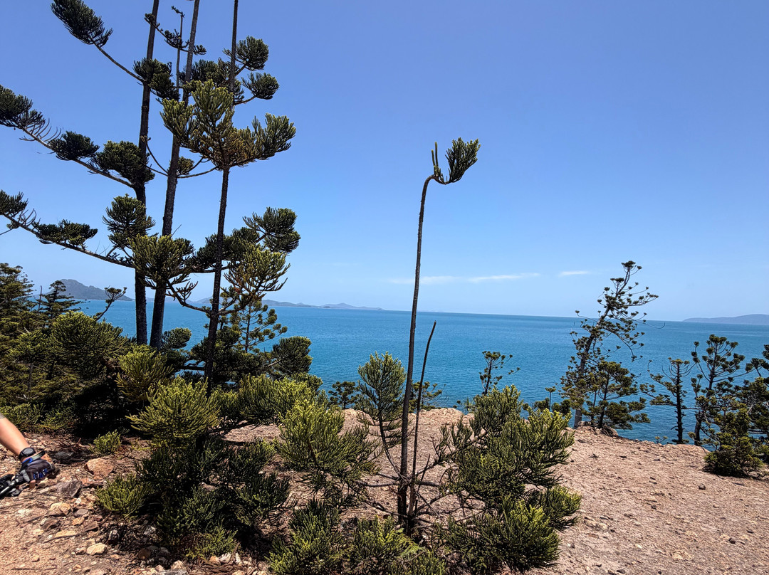 HI Trails HQ-汉密尔顿岛必去景点