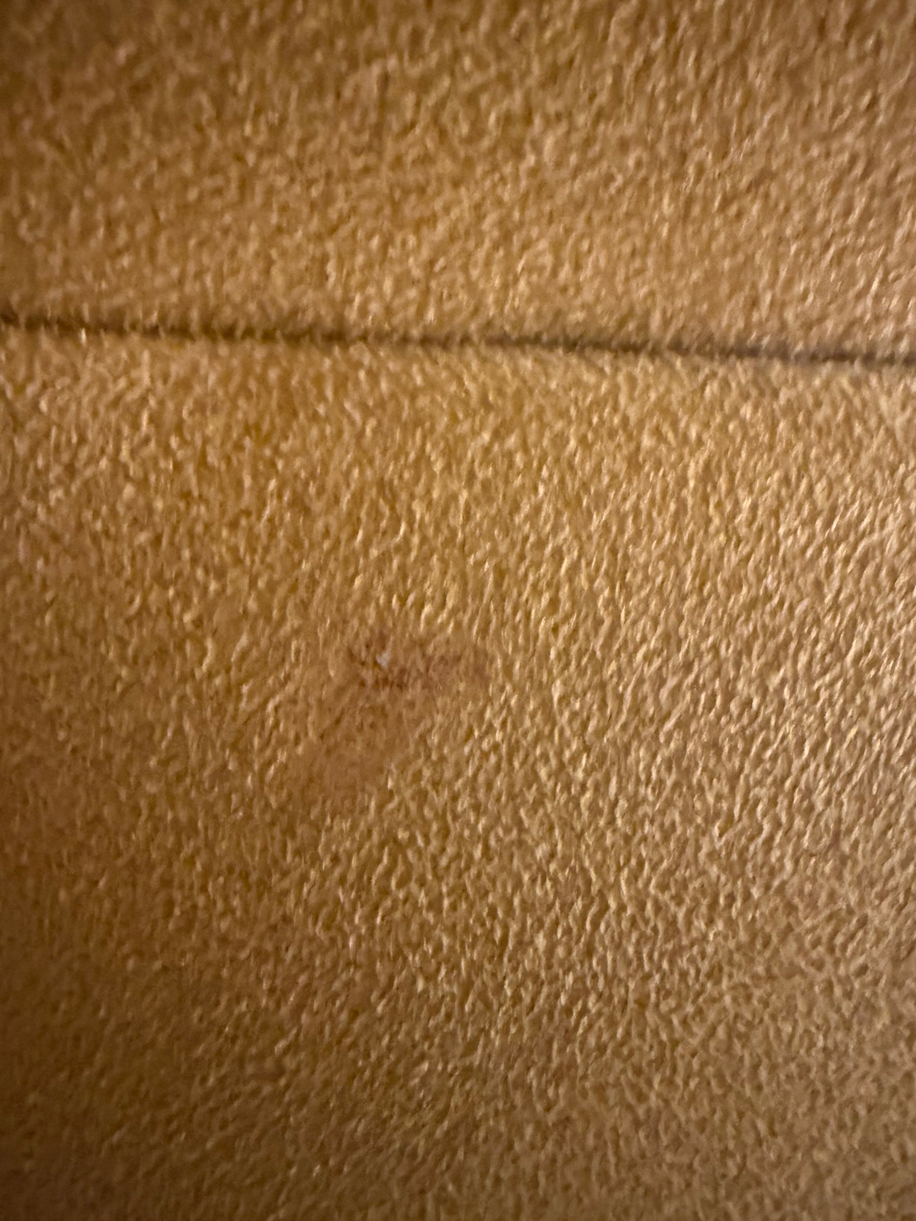 Showboat Atlantic City Hotel-官方