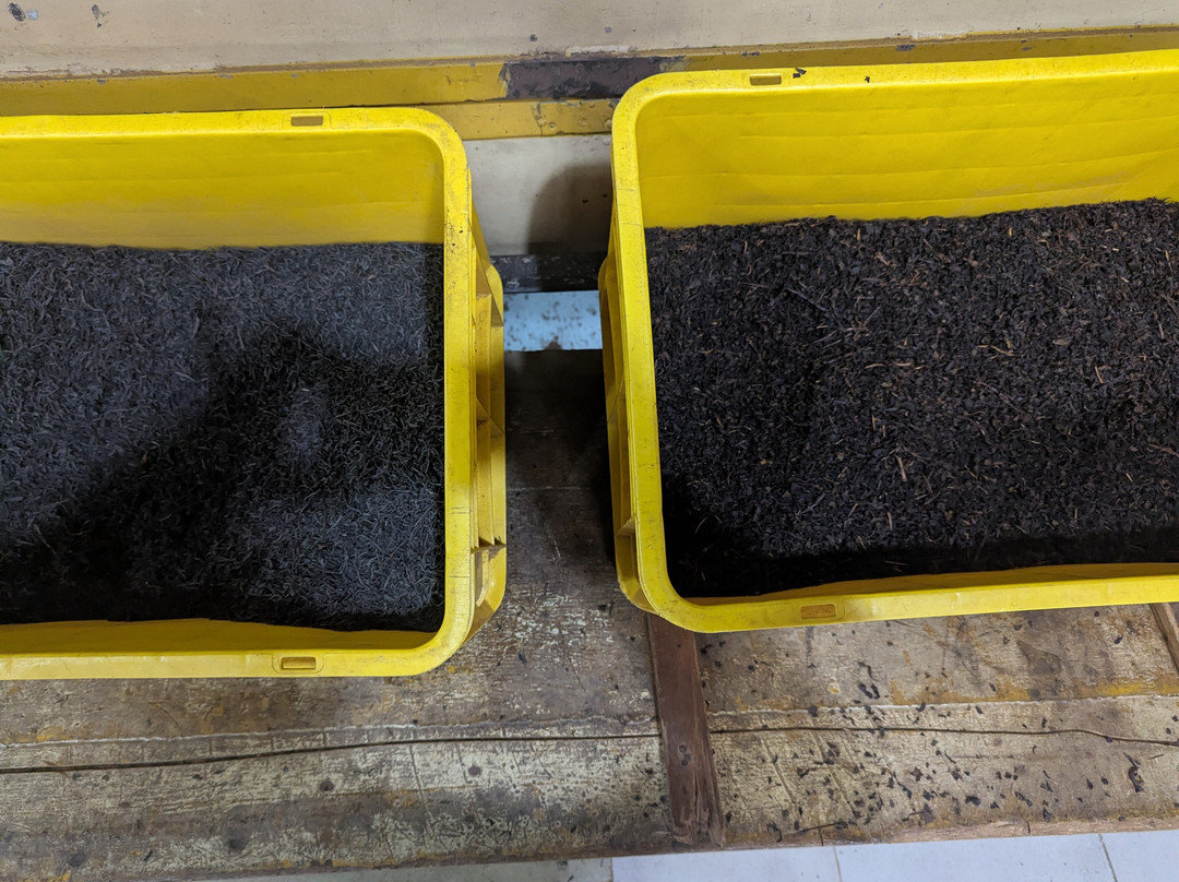 Pilimathalawa Tea Factory-Pilimathalawa必去景点