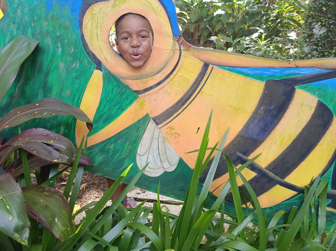 Parque Ecológico A Tribuna-Mongagua必去景点