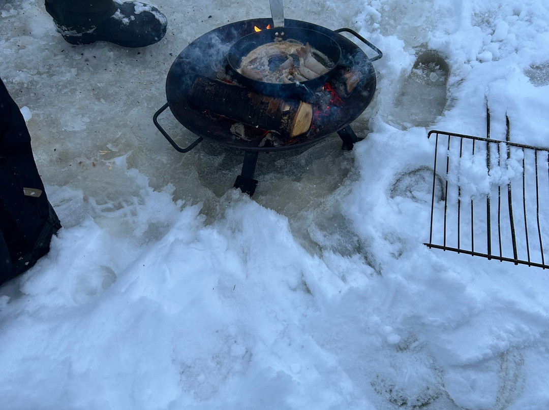 Lupland Adventures-Ranua必去景点